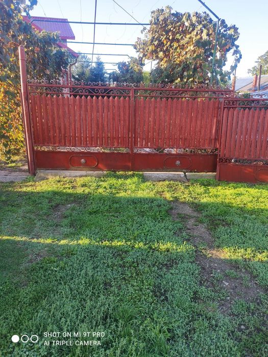 Vând gard ornamental Maro