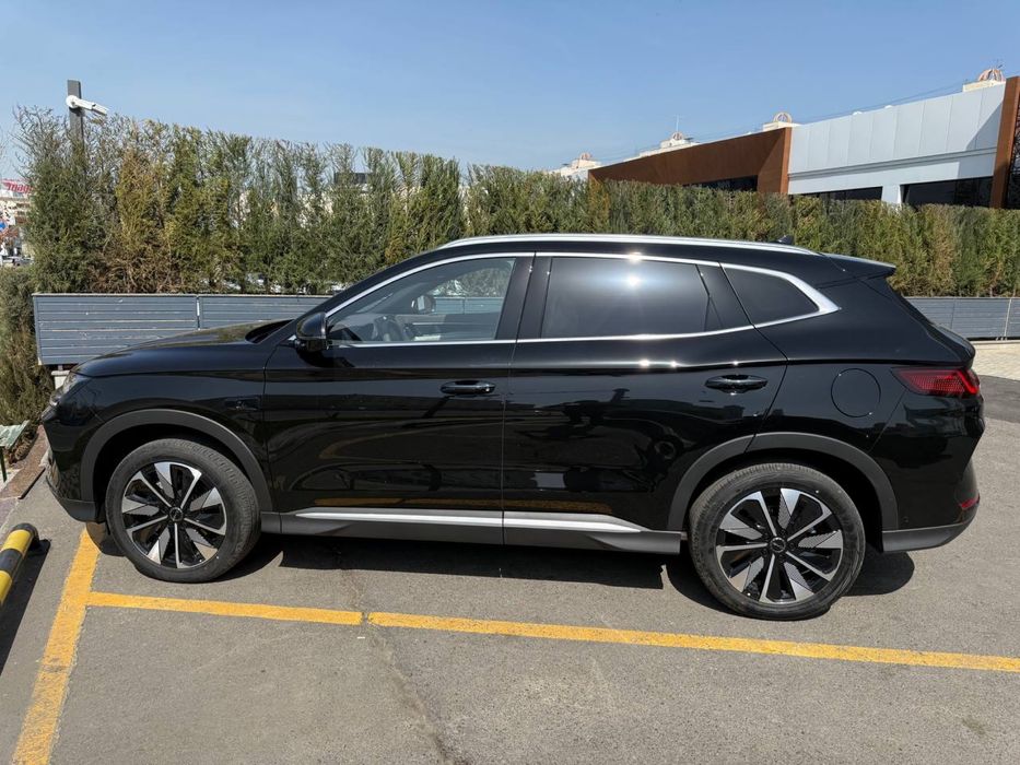 BYD chempion smart