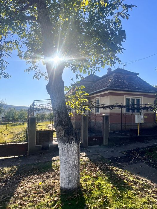 Casã cu gradina în Triteni Colonia