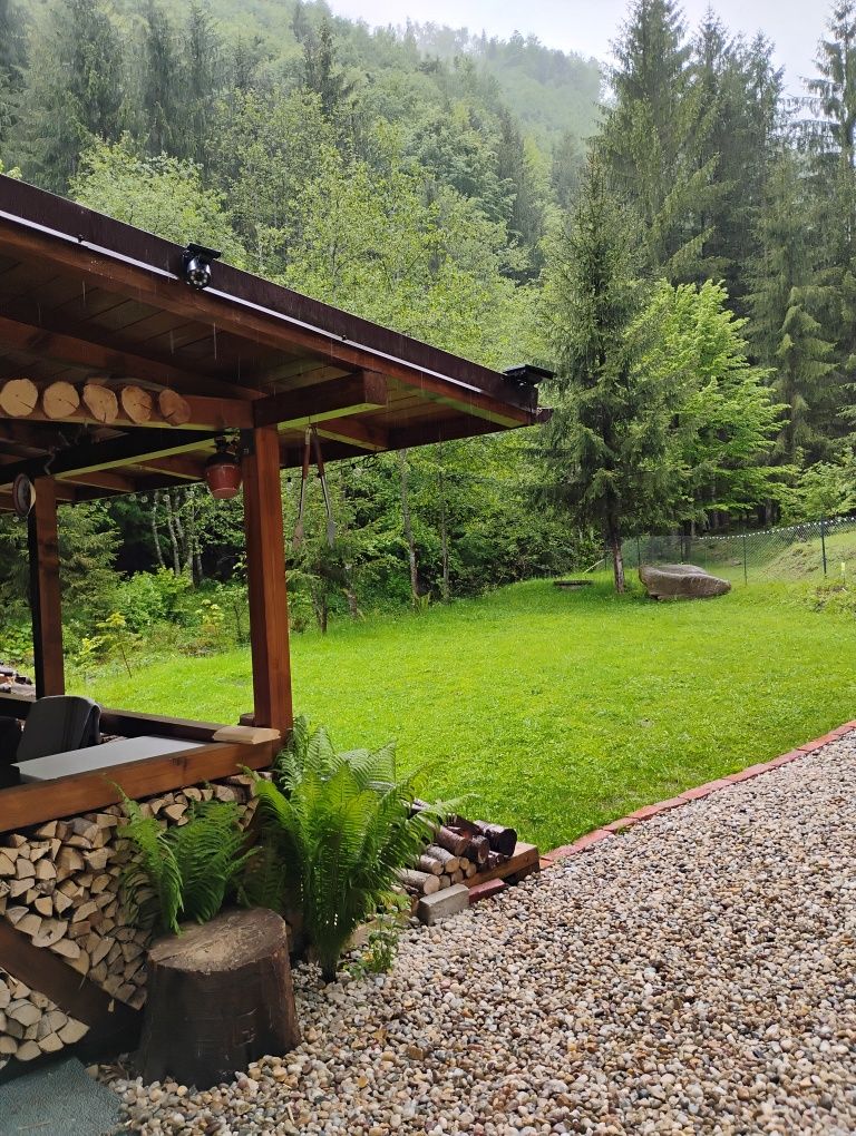 Cabana de închiriat (Răcătău)