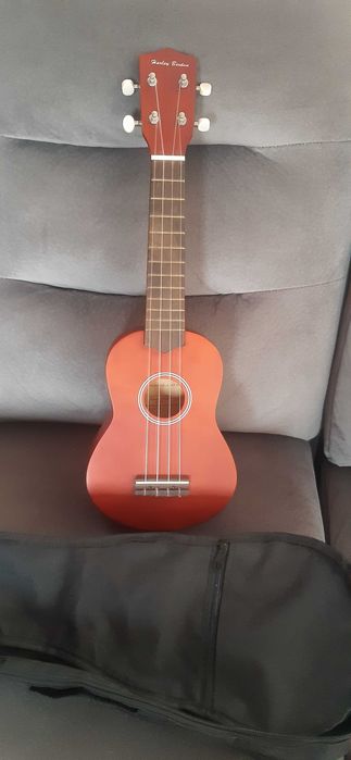 UKULELE- instrument coarde si MELODICA-instrument clape