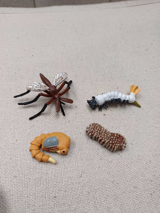 Ciclul vieții la țânțar