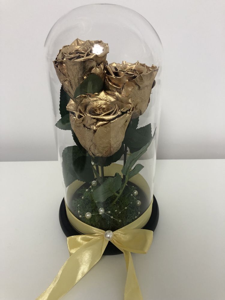 Trandafiri criogenat auriu 17-20-25 cm