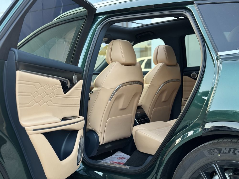 Voyah Free 210 km hybrid