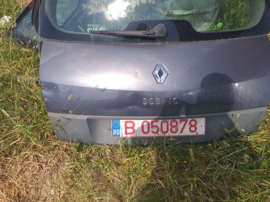 Haion Hayon Renault Scenic 2  - mic defect