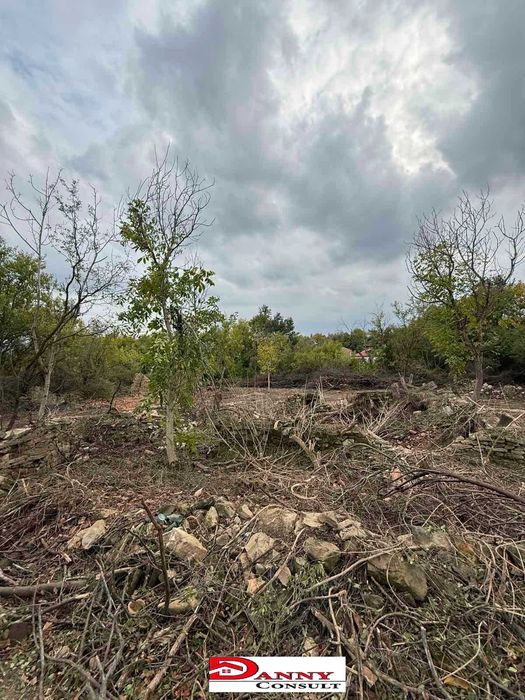 Парцел за жилищно строителство в с. Церова кория, обл. Велико Търново