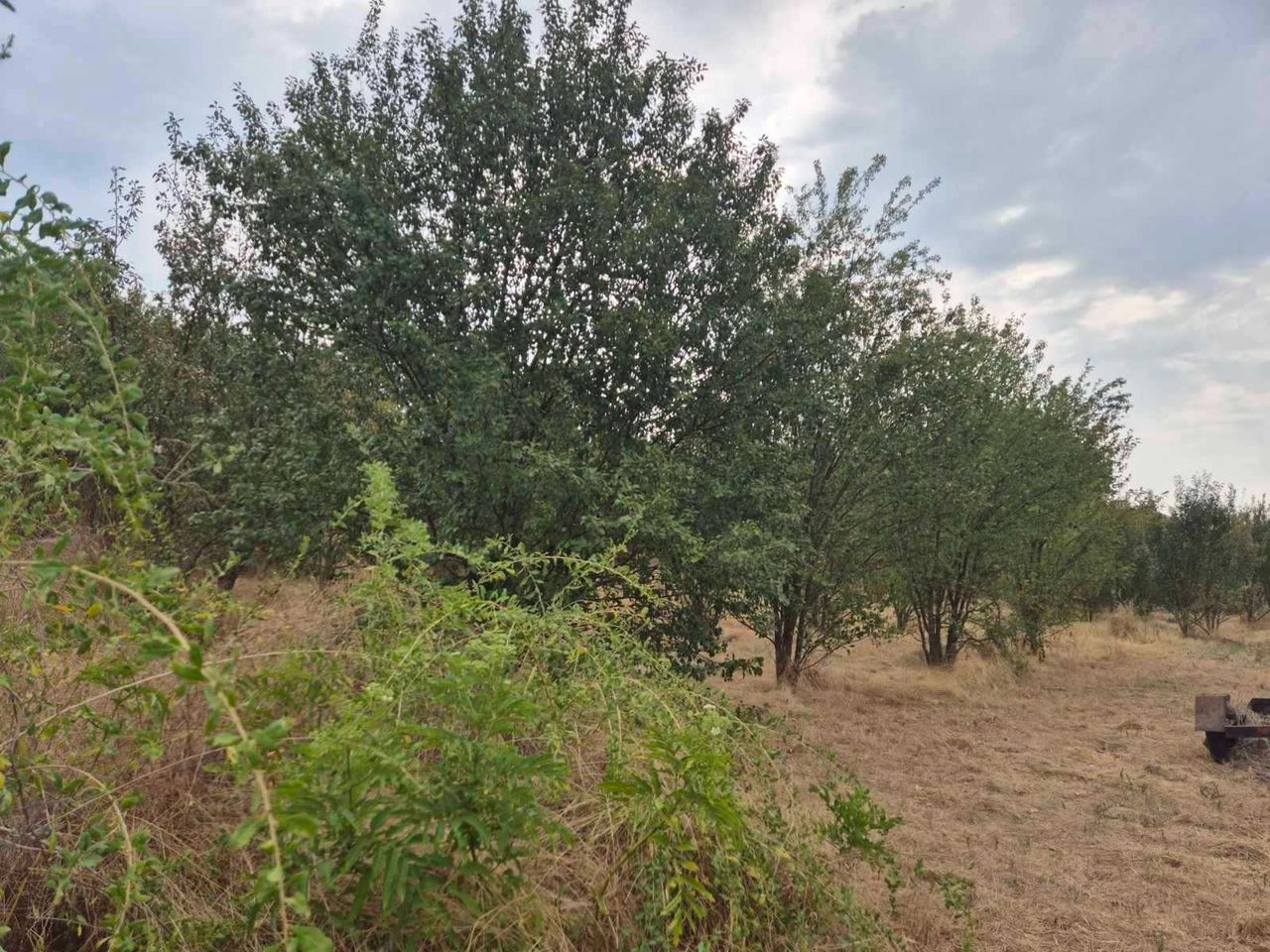 Продава се Къща в с. Медово, Област Стара Загора - 120 кв.м за 188 €/кв.м - Снимка #12