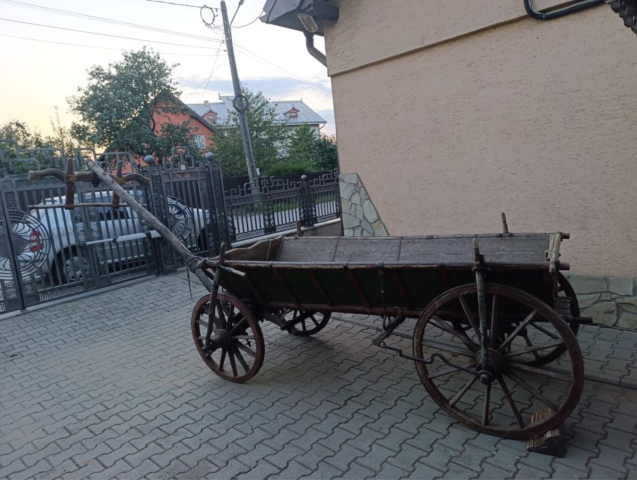 vand caruta tradionala