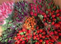 Крупные Тюльпаны букеты цветы к 8 марта для милых женщин
