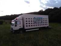 Camion Man 12 tone apicol