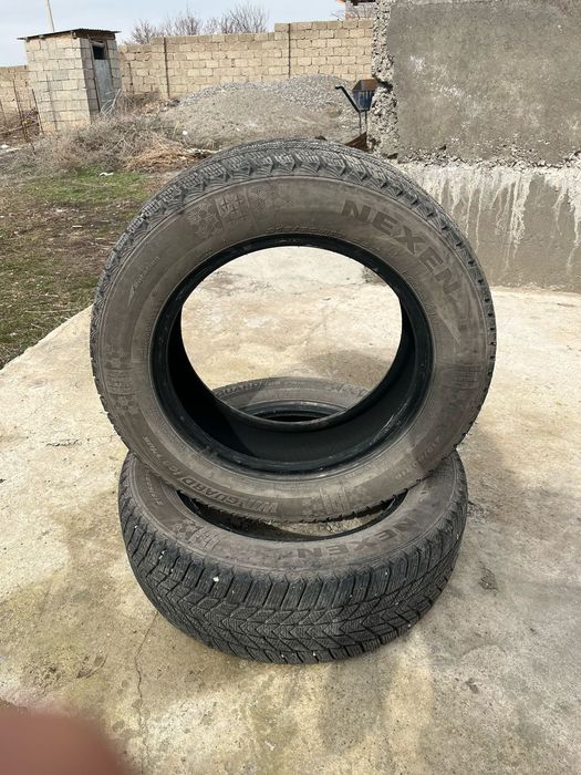 Зимный балон нексен