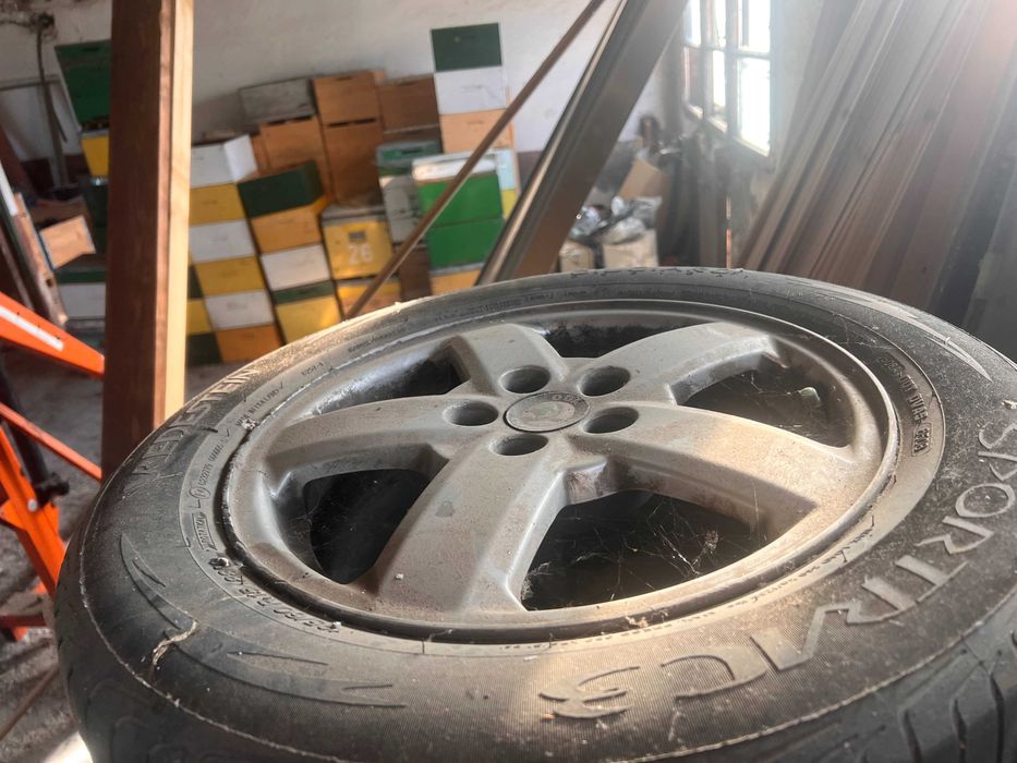 vand jenti skoda