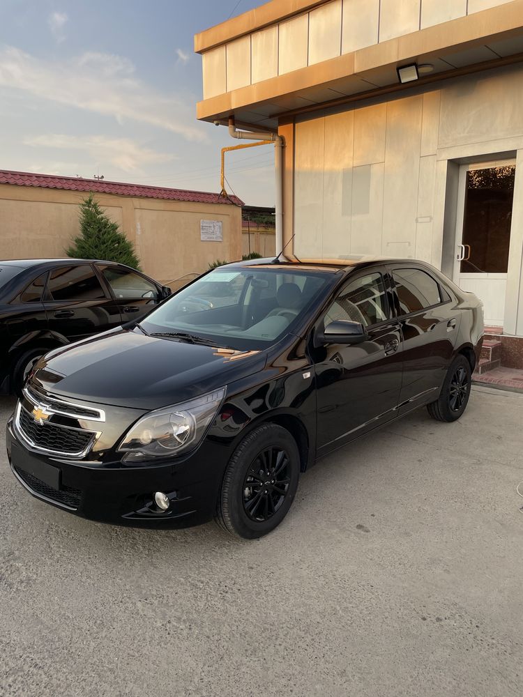 Cobalt midnight 2025