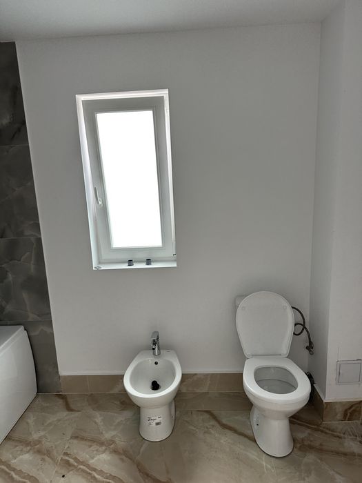 Case vanzare valea lupului