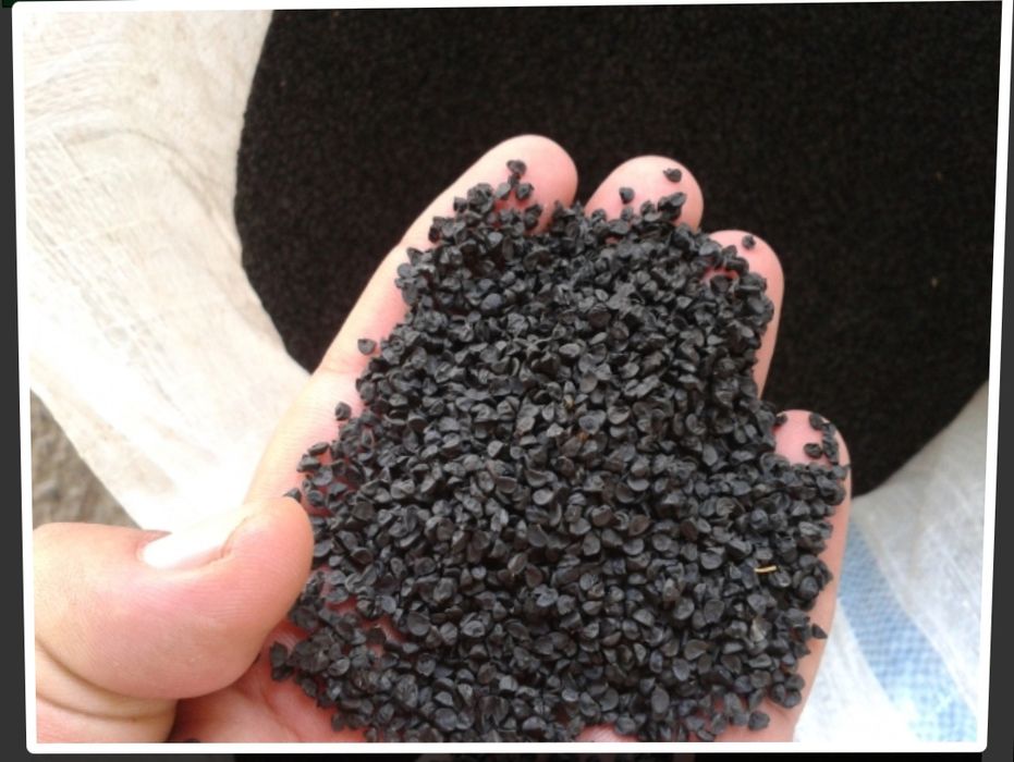 Семена лука пантера