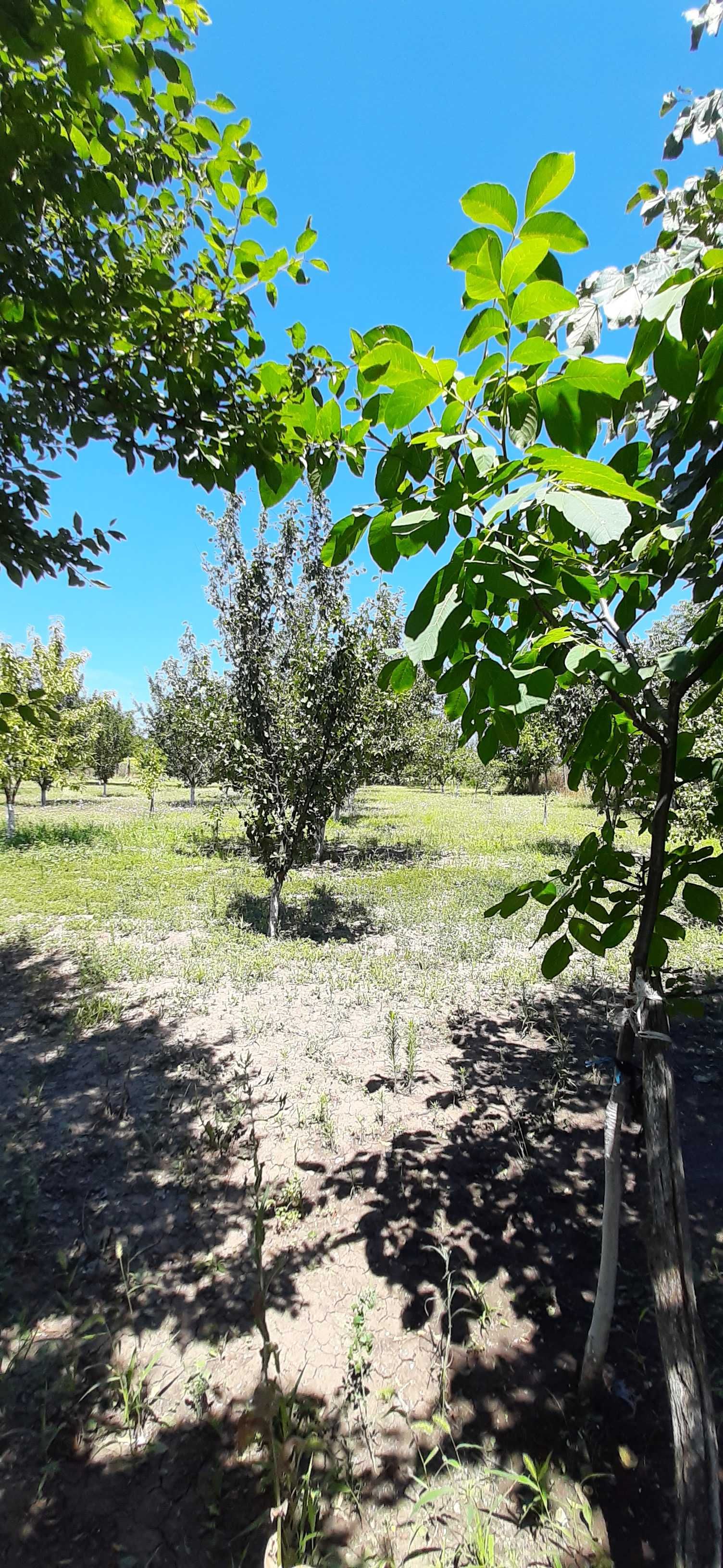 Парцел със стара къща село СЪЕДИНЕНИЕ