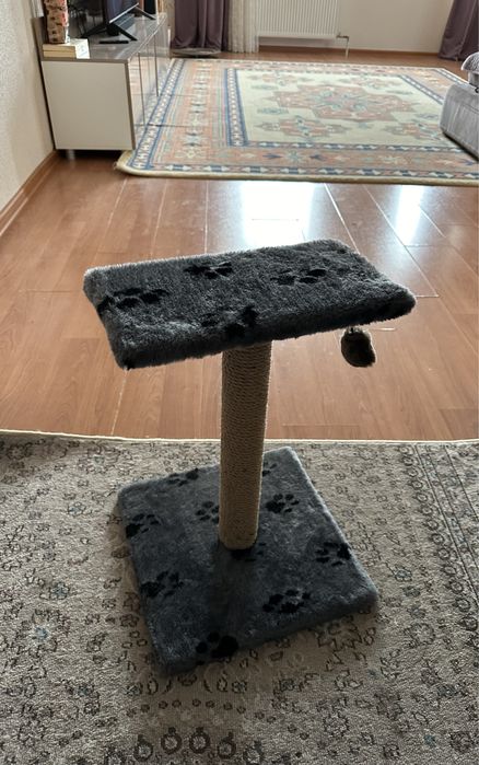 Новая коктеточка