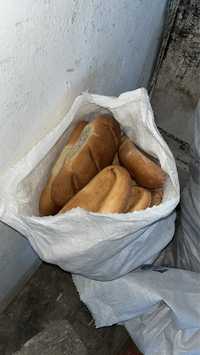 Сухой хлеб/Каткан нан , корм для животных