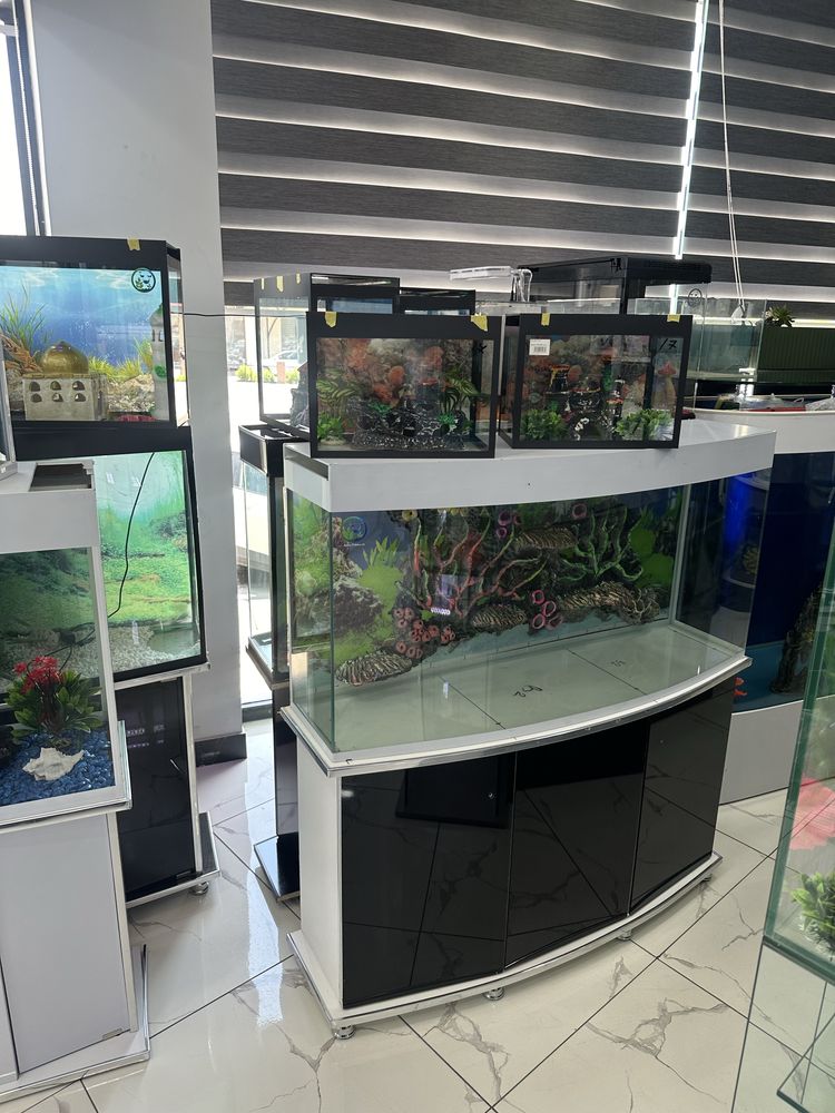 Akvarium Dokon Magazin