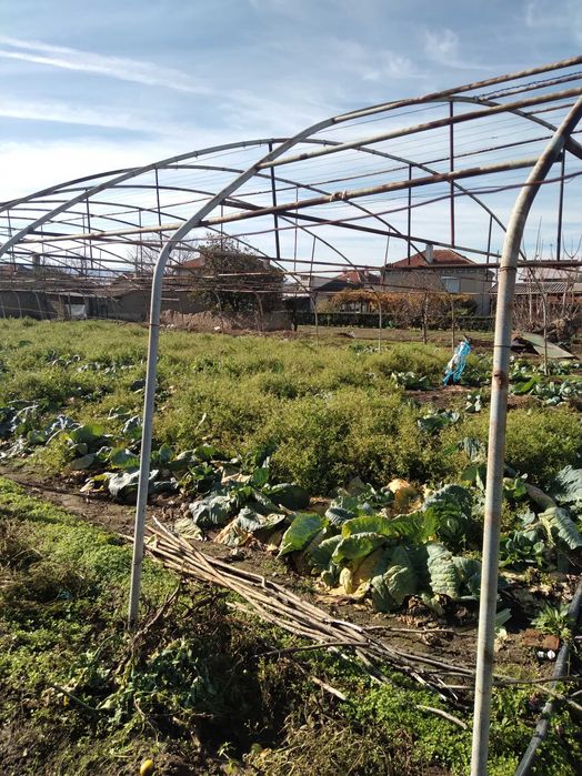 Оранжерия поцинкована