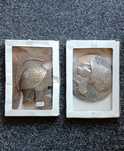 decoratiuni de colectie vintage + cadou
