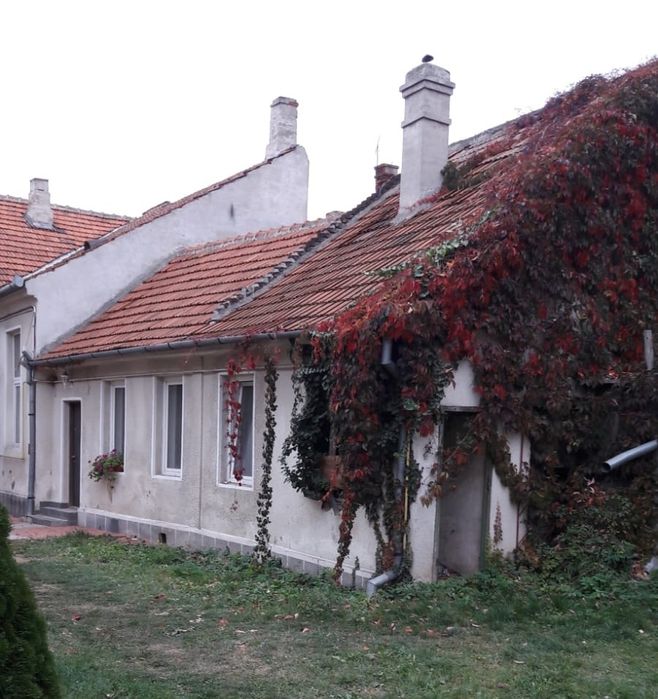 Oradea Olosig Strada Moscovei 1 camera 59000 euro