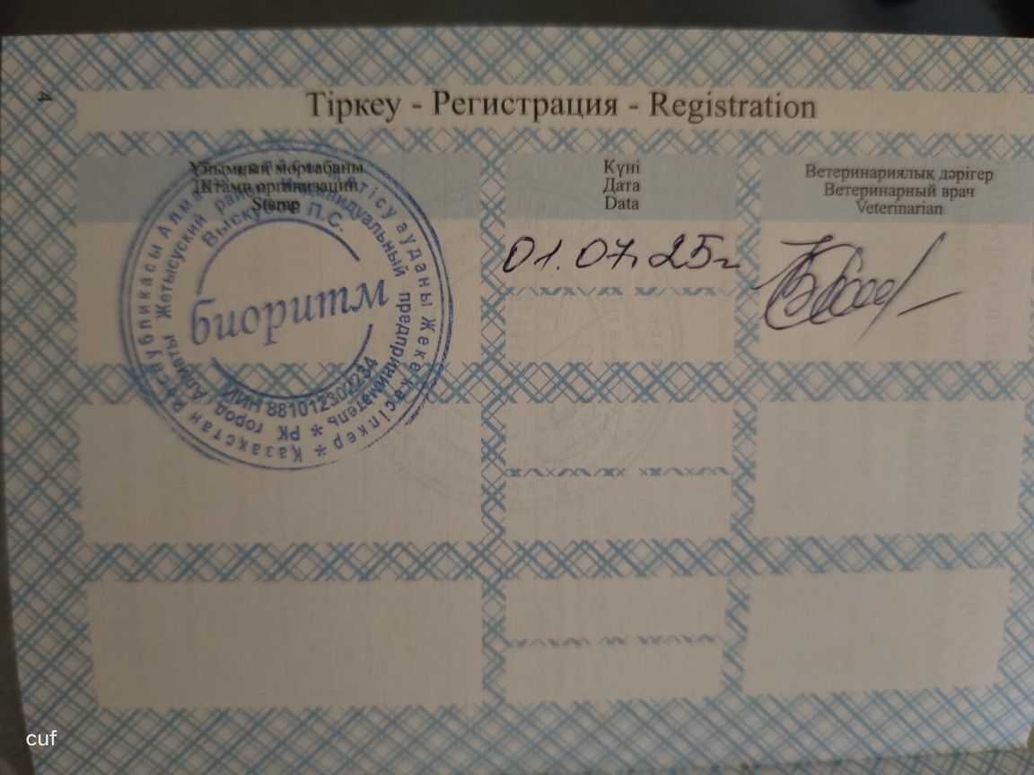 Девочка в добрые руки