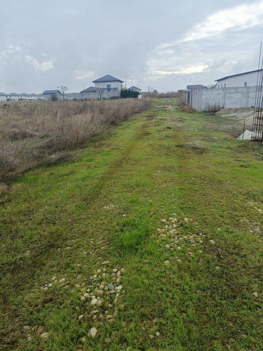 Teren de vânzare com Berceni Mamina