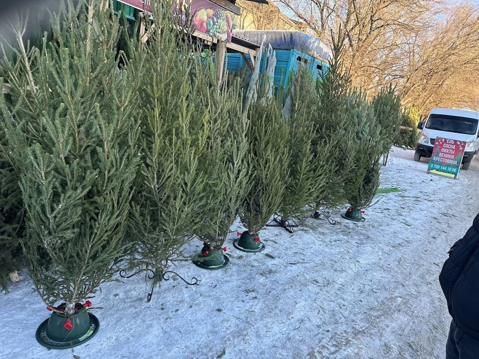 ЁЛКИ ОПТОМ И В РОЗНИЦУ: Ёлка новогодняя, пихта, сосна, ель, подставка