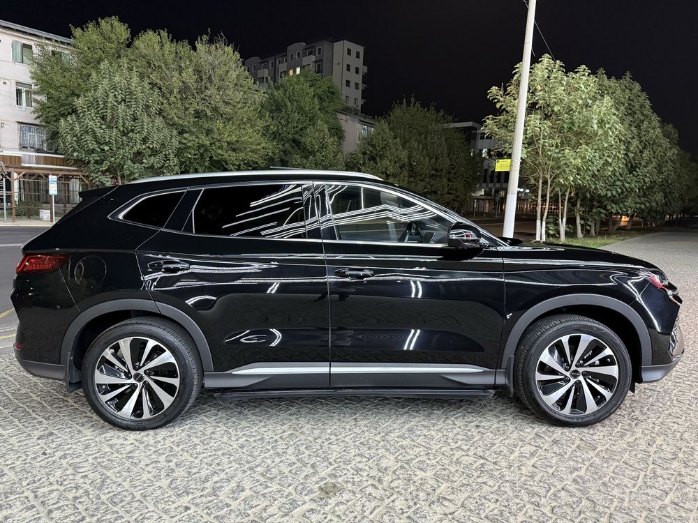 Byd chempion 605 full honor 2024