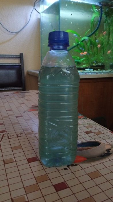 Криветка вишня и дафня с спирулиной зелёная вода