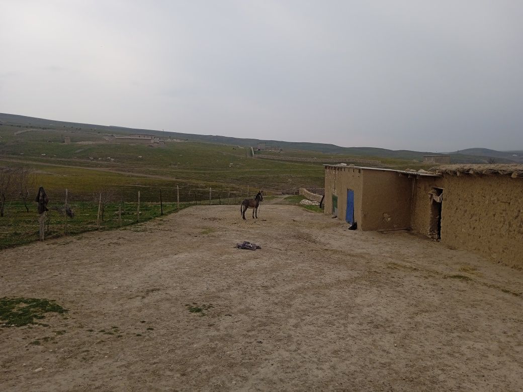 Uy Xovli Sotiladi