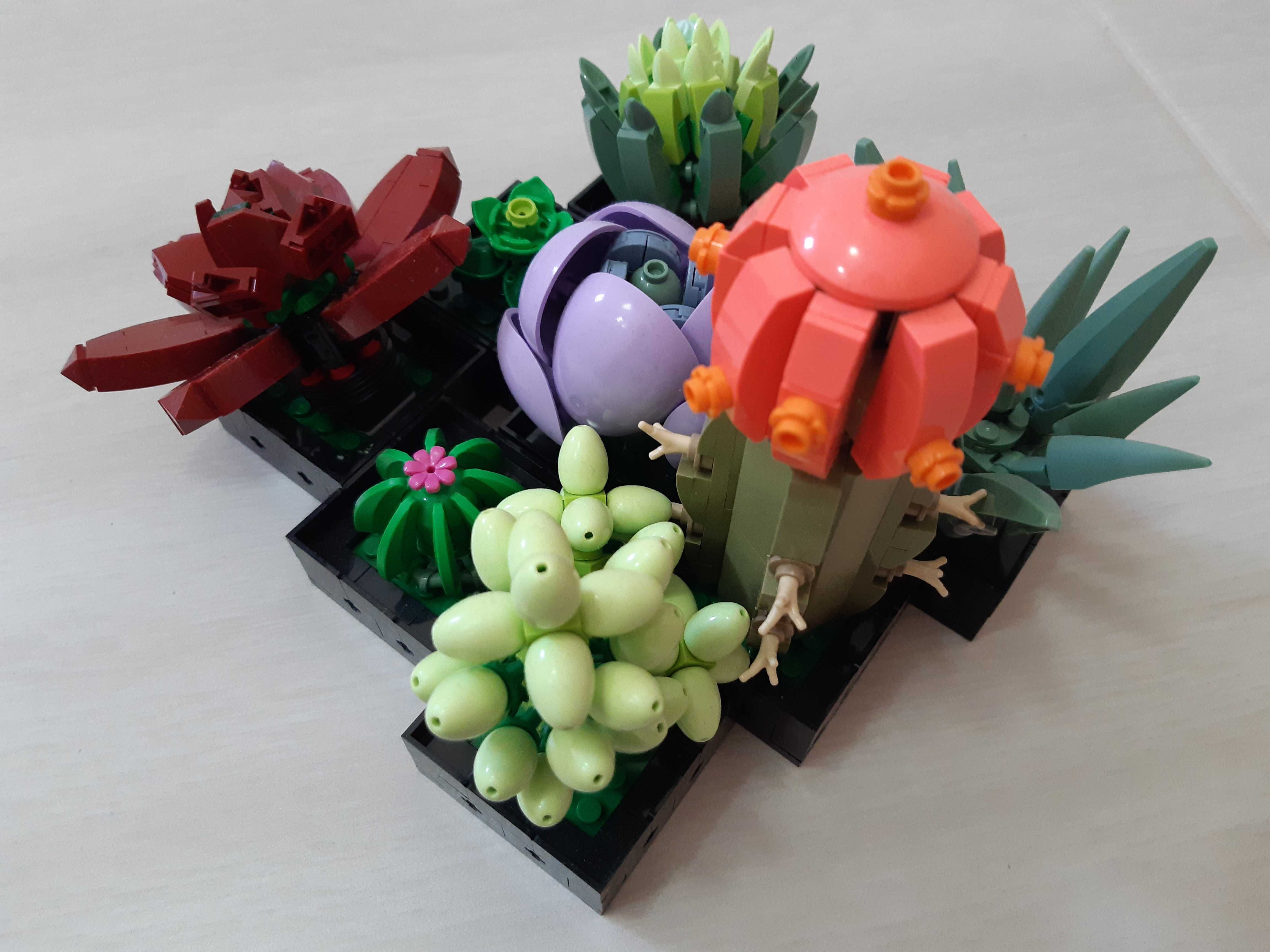 Lego botanical 10309, plante suculente