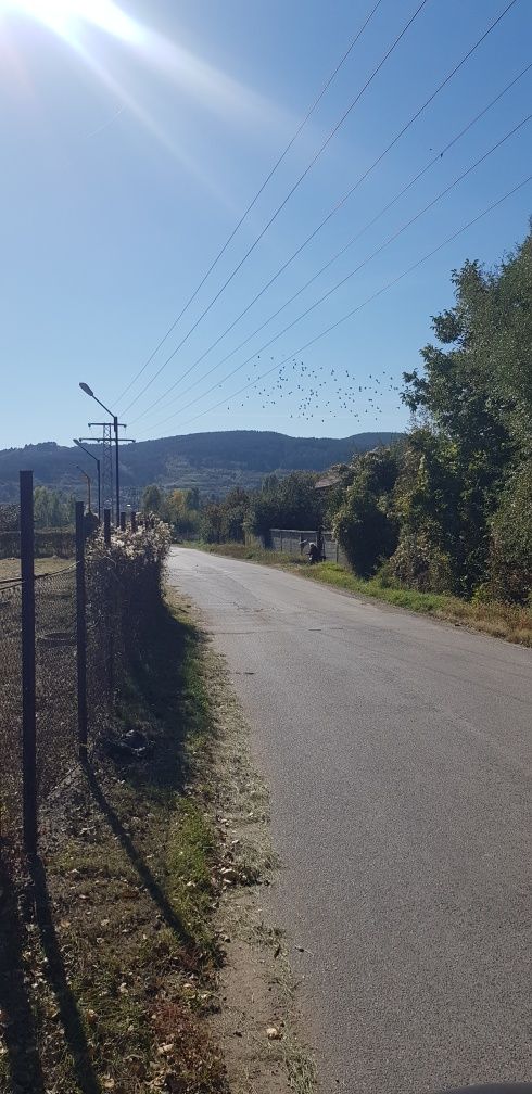 Продава парцел до гейзера в гр.Сапарева баня