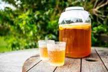 Cuperca kombucha