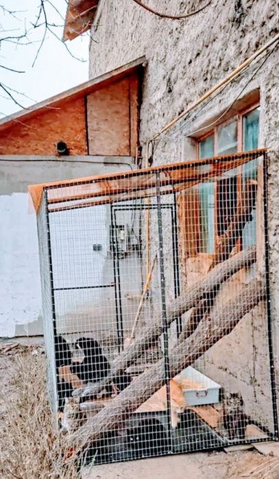 Вольеры для кошек  на заказ