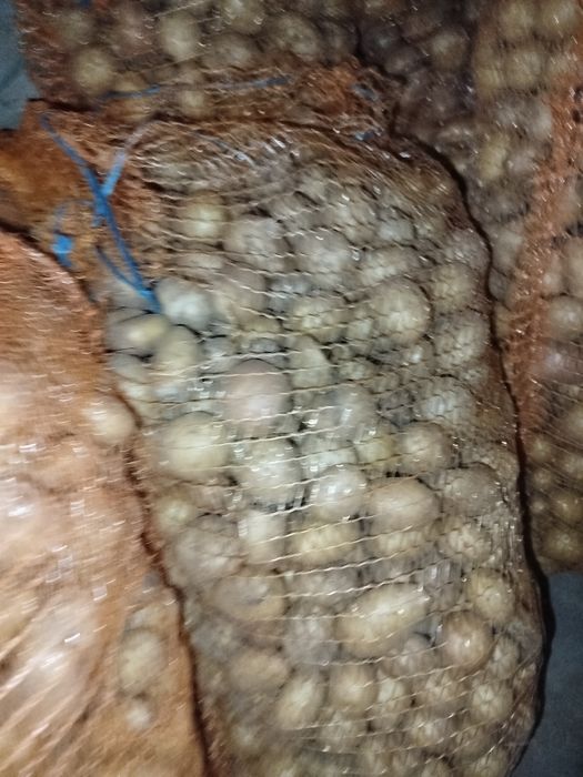 Cartof Pentru un animal