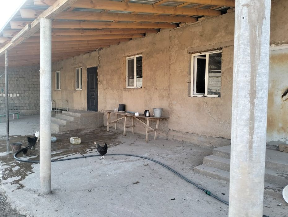 Қора фазенда кора