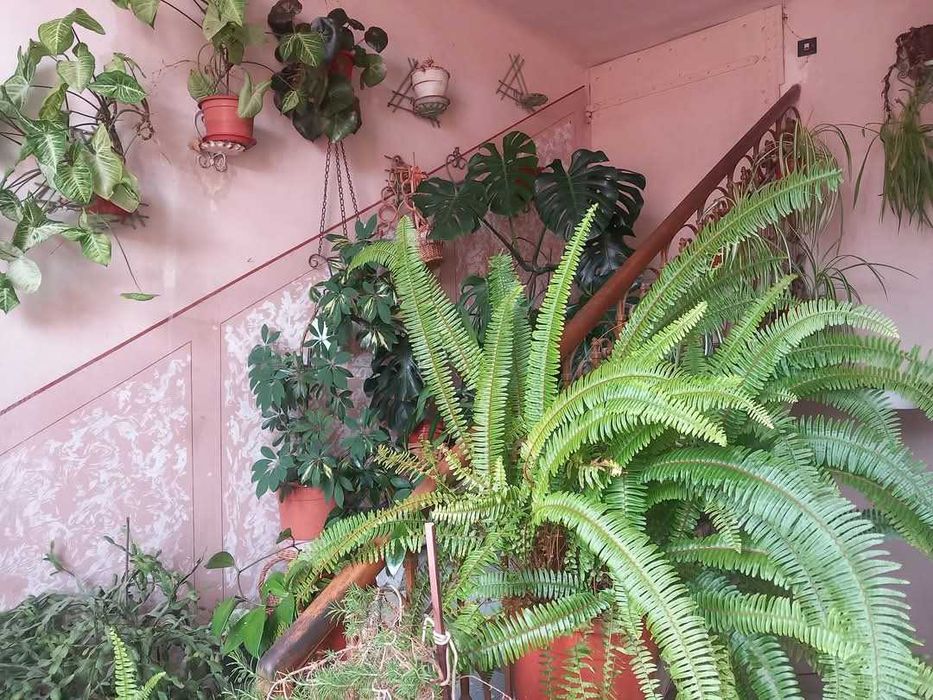 Vand apartament la casa, Central, fara legea 112, proprietar