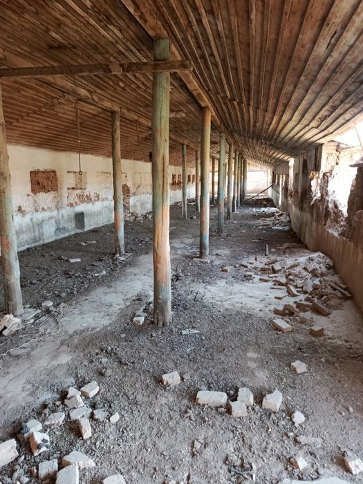 Кибрай майский 4 гектара по супер цене