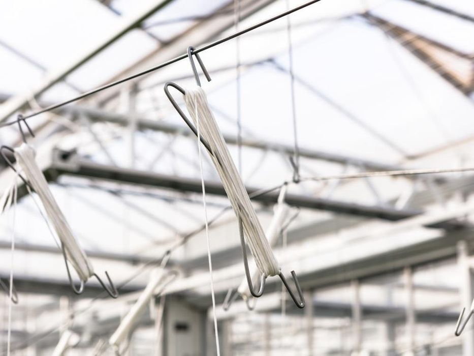 Set 25 buc carlige de palisare/sustinere profesional