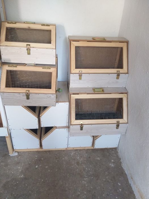 Vând cuști de transport și voliere pentru papagali