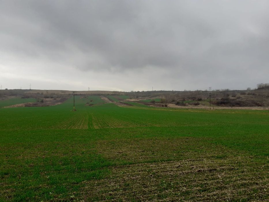 Teren agricol extravilan Onești, jud. Bacau