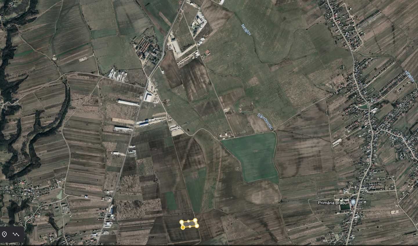 10.000 m,  ALBOTA - Drumul Bradului - La Gioroc