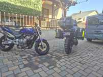 Honda Hornet 13 000 KM A2