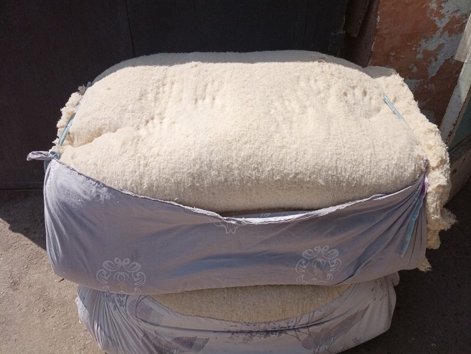 Paxta titish chirchiq