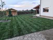 Vand si montez gazon sport premium