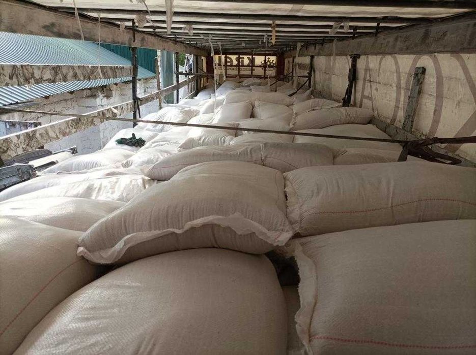 Tarata de grâu calitate