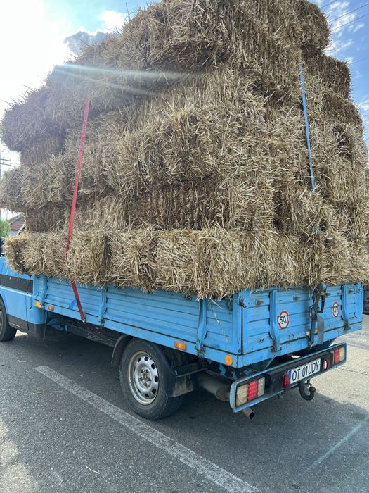 Baloti paie de anu asta