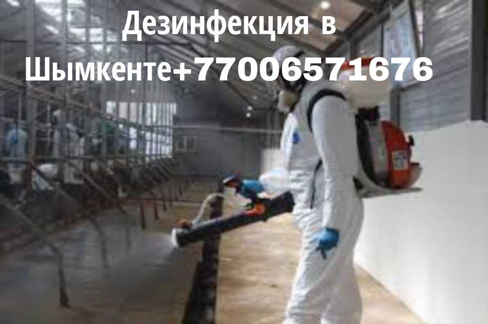 Шымкент қаласы дезинфекция